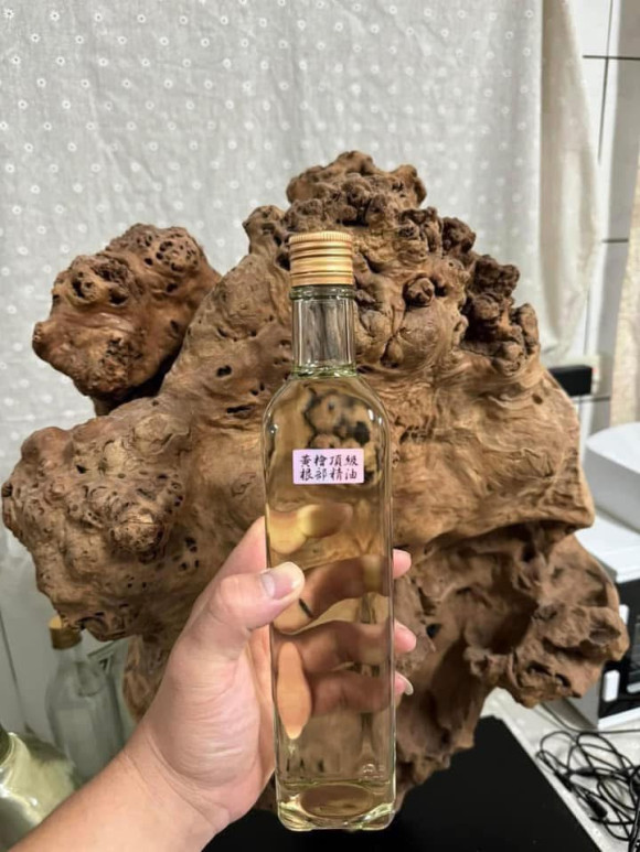 根部料萃取 提煉 